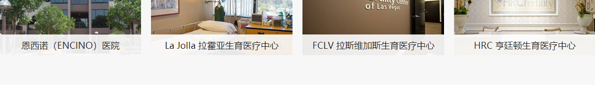 澳门新葡电子游戏网网络网站案例