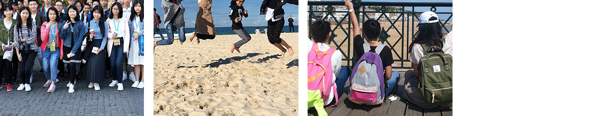 澳门新葡电子游戏网网络网站案例