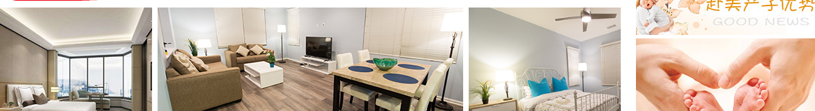 澳门新葡电子游戏网网络网站案例