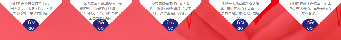 澳门新葡电子游戏网网络网站案例