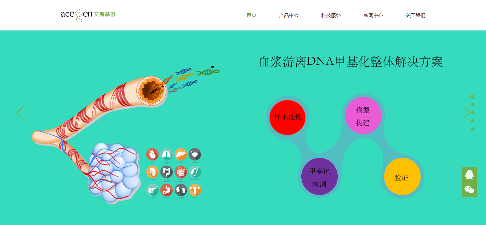 澳门新葡电子游戏网网络案例效果图 艾斯基因页面设计效果图