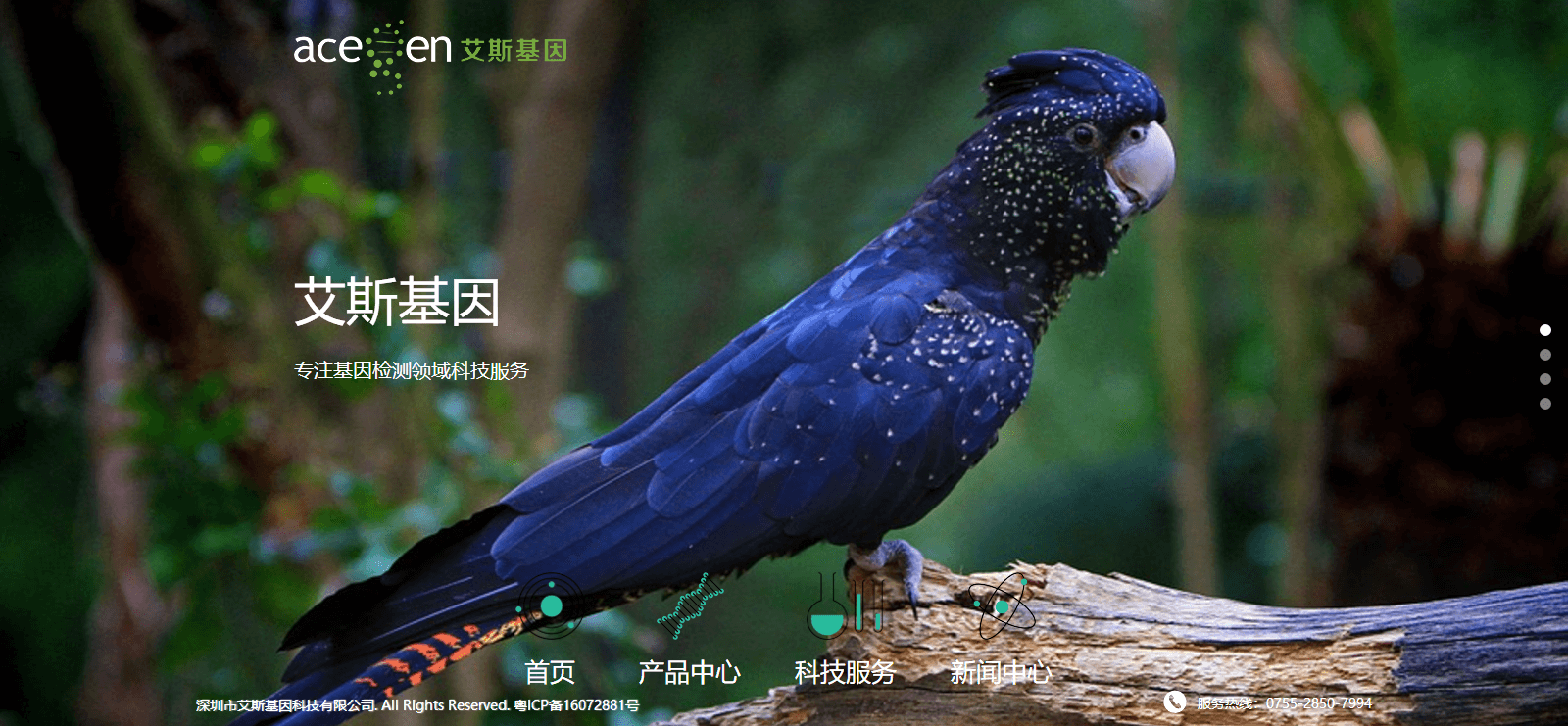 澳门新葡电子游戏网网络案例效果图 艾斯基因页面设计效果图