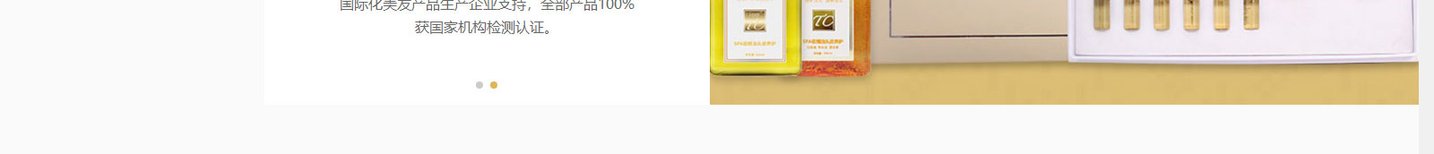 澳门新葡电子游戏网网络网站案例