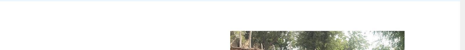 澳门新葡电子游戏网网络网站案例