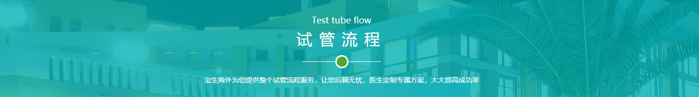 澳门新葡电子游戏网网络网站案例