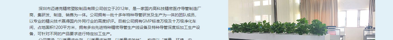 澳门新葡电子游戏网网络网站建设案例