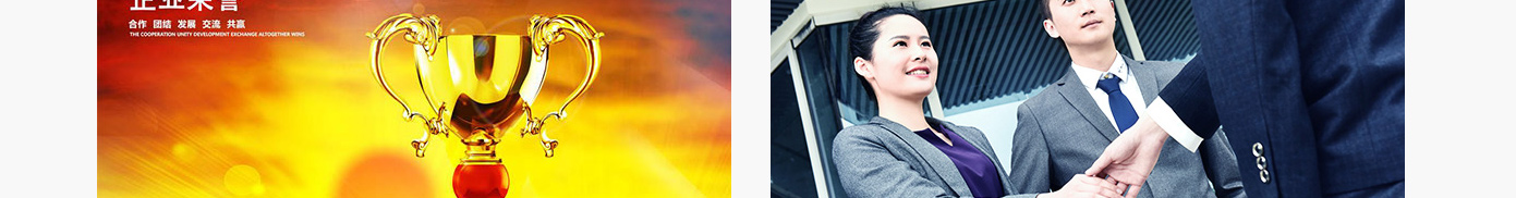 澳门新葡电子游戏网网络网站案例