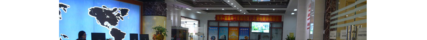 澳门新葡电子游戏网网络网站案例