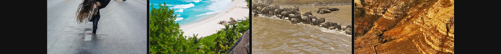 澳门新葡电子游戏网网络网站案例