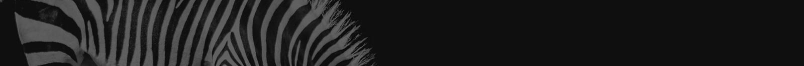 澳门新葡电子游戏网网络网站案例