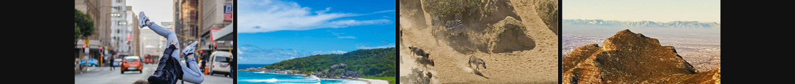 澳门新葡电子游戏网网络网站案例