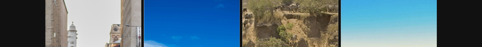 澳门新葡电子游戏网网络网站案例