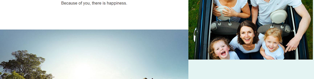 澳门新葡电子游戏网网络网站案例