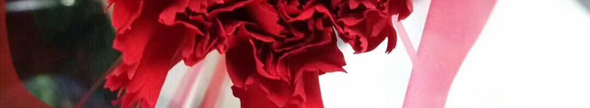 3.8女神节，澳门新葡电子游戏网男神请吃下午茶